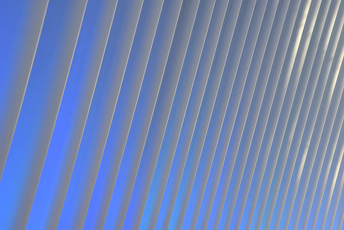 This is a photograph titled 'Oculus interior wall, New York, USA'. It was taken by photographer John Briody on the 4th December, 2019 in New York, USA.